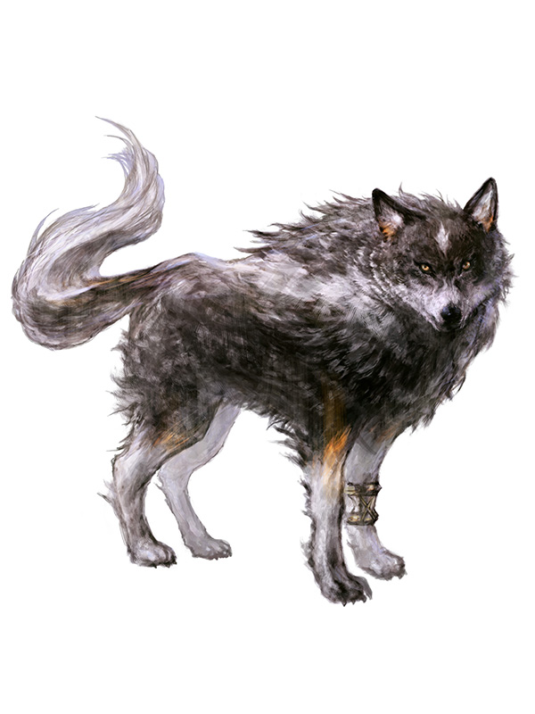 Torgal