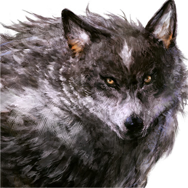 Torgal